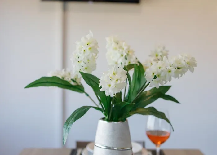 Leonardo's Cycladic Hébergement de vacances